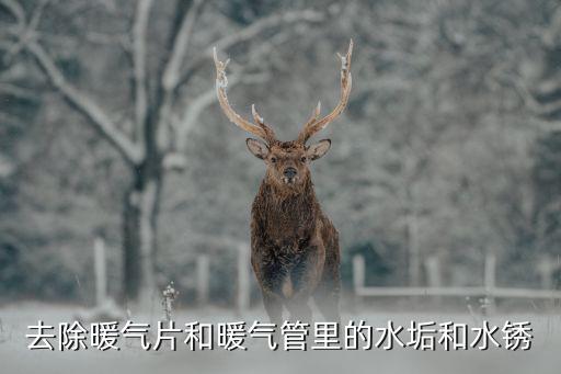 如何清除暖氣片排氣孔的銹,舊散熱器如何排氣...